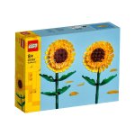 40524_0_11zon.jpg 40524_0_11zon.jpg