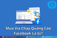 Mua Via Chạy Quảng Cáo Facebook Là Gì.png