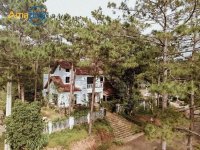 Toki-Homestay-Mang-Den-giua-rung-thong.jpg