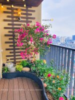 ban công 88 Láng Hạ - Phòng con gái (5).jpg ban công 88 Láng Hạ - Phòng con gái (5).jpg