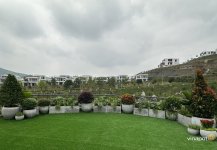 Villa Hòa Bình (4).jpg