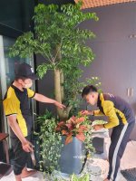 Chậu đúc khuông vuông 60 bo cong cạnh đáy (1).jpg