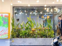 Chậu xi măng đá mài xám hạt đen quán Cafe (2).jpg