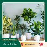 Trắng Đen Đơn Giản Hình Ảnh Khung Sale Sản Phẩm Instagram Post (1).jpg