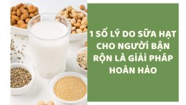 sua-hat-danh-cho-nguoi-ban-ron-3.jpg
