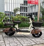 TailG JY33 Mini Bike
