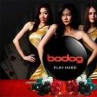 bodog88