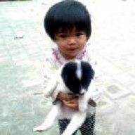 dzaihn