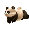 longt8x